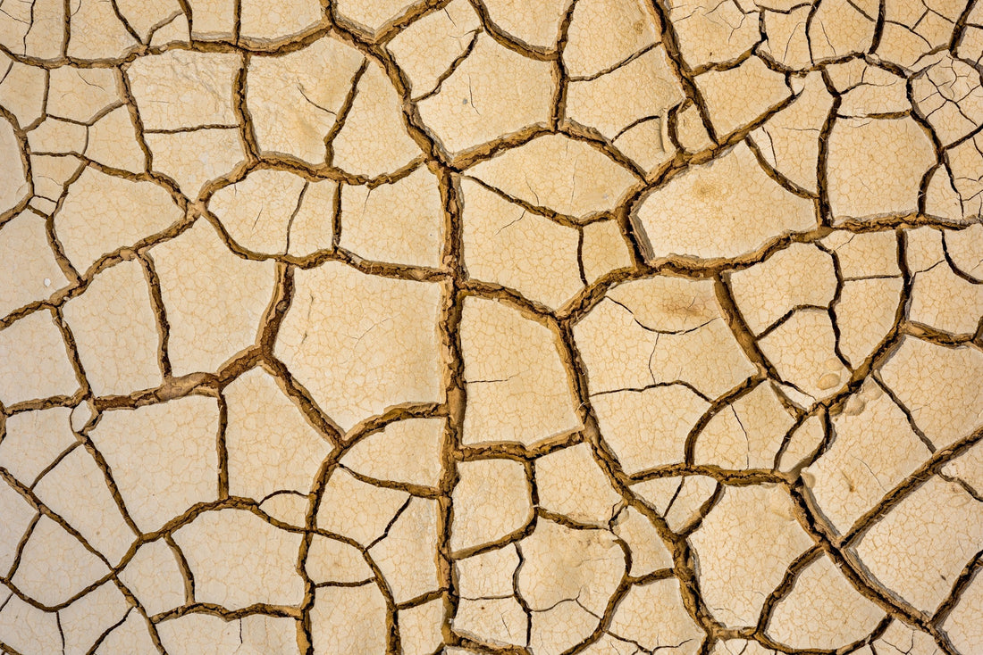 The Ultimate Guide to Surviving Dry January